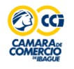 Imagen en miniatura de la galería