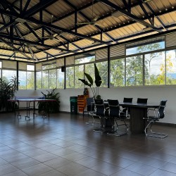 Imagen en miniatura de la galería