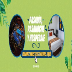 Imagen en miniatura de la galería