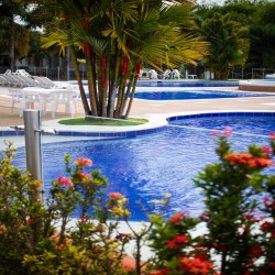 Imagen en miniatura de la galería