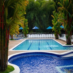 Imagen en miniatura de la galería