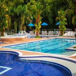 Imagen en miniatura de la galería