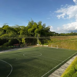 Imagen en miniatura de la galería