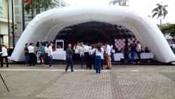 Imagen en miniatura de la galería