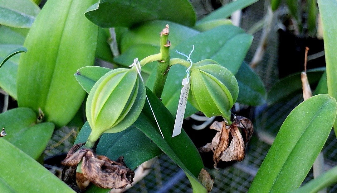 Nuestro trabajo... 2