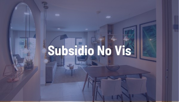 Preguntas frecuentes sobre Subsidio No Vis