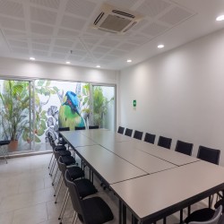 Imagen en miniatura de la galería