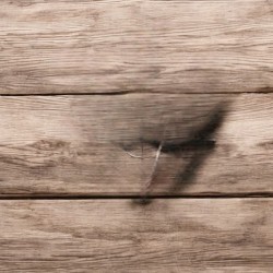 Imagen en miniatura de la galería