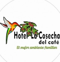 Imagen en miniatura de la galería