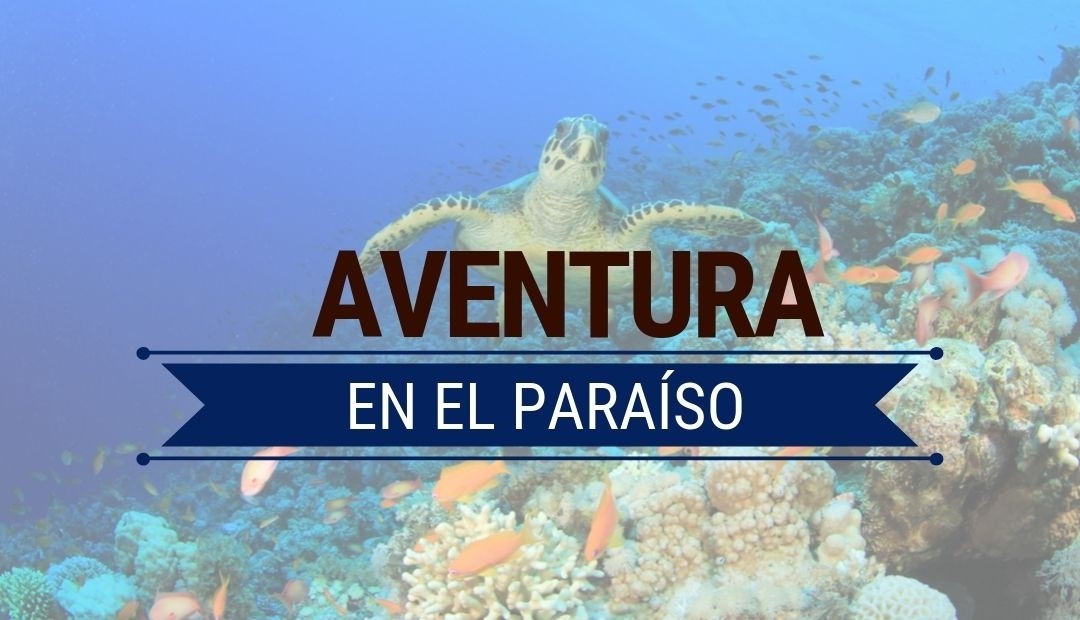 Aventura en el Paraíso 
