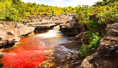 Los 5 colores de Caño Cristales 