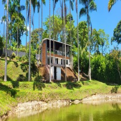 Imagen en miniatura de la galería