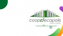 Imagen en miniatura de la galería