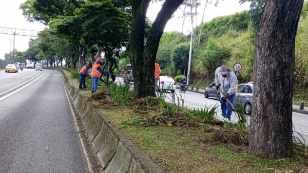 El Viajero continuará floreciendo 
