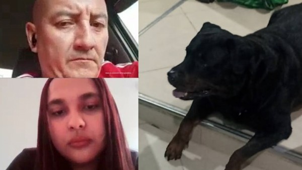 Judicializan a falsa veterinaria y su asistente por la muerte de un rottweiler tras un procedimiento ilegal en Medellín