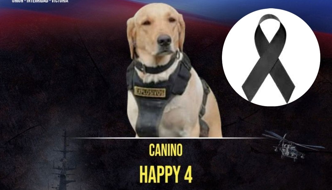 Muere perro antiexplosivos por bomba que dejaron disidencias