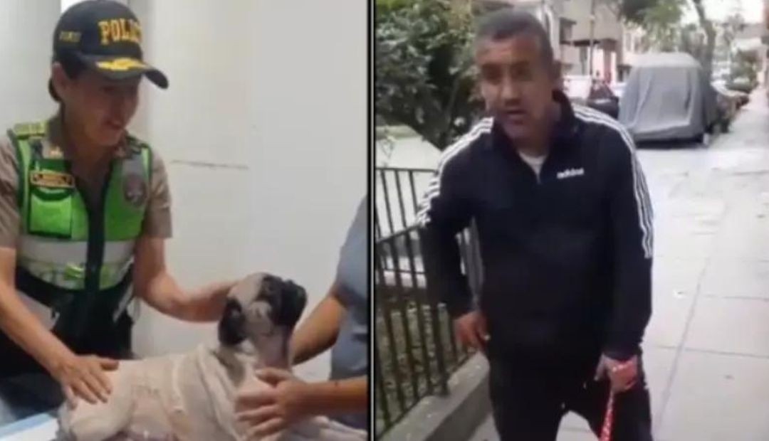 Condenan a hombre que acuchilló brutalmente a una perrita