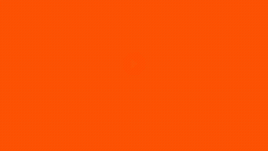 Reddit