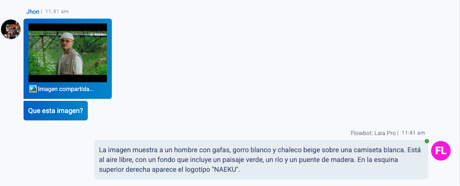 LAIA lectura de imágenes