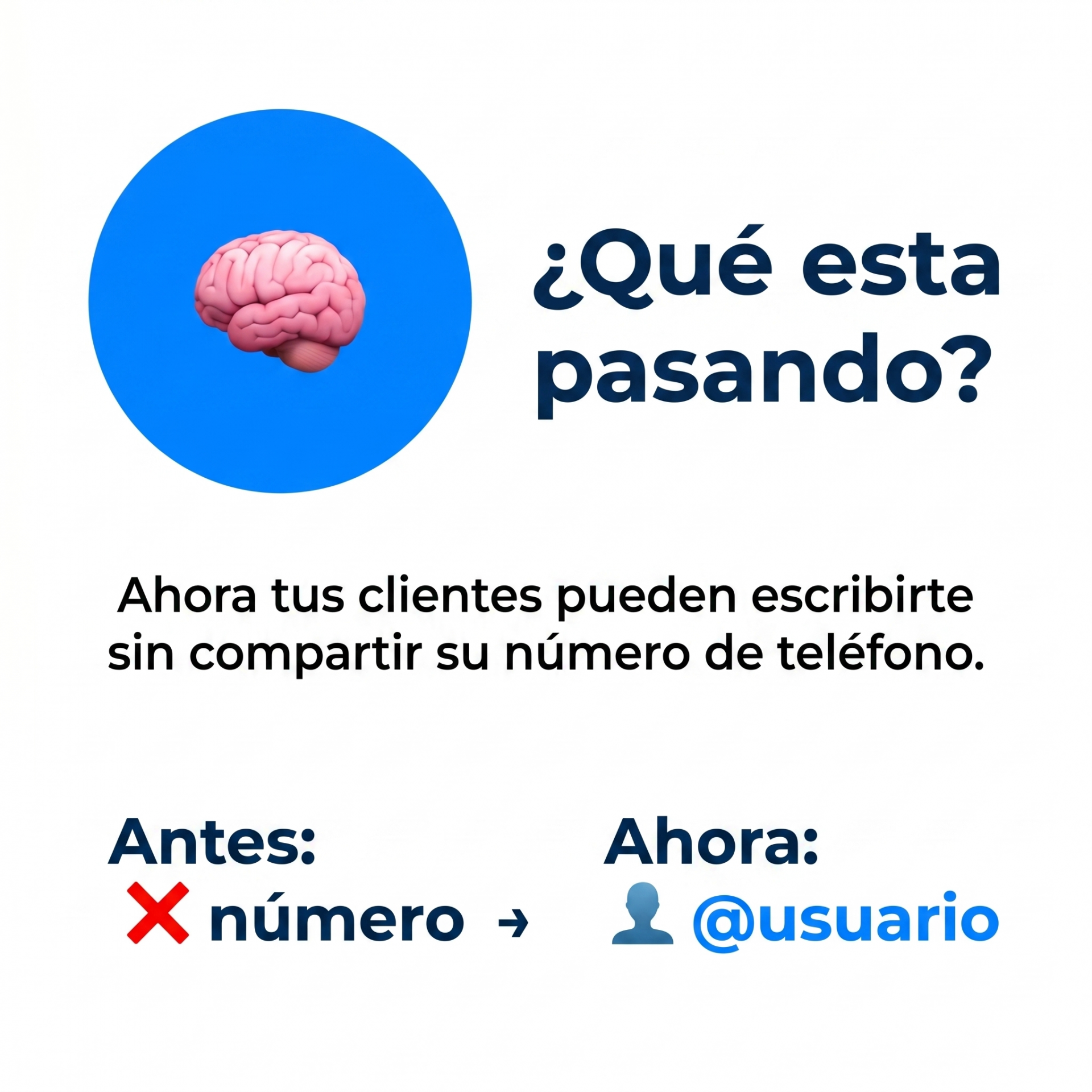 nombre de usuario en whatsapp