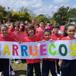 Imagen en miniatura de la galería