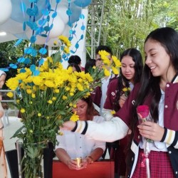 Imagen en miniatura de la galería