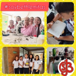 Imagen en miniatura de la galería