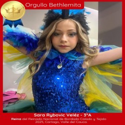 Imagen en miniatura de la galería