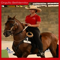 Imagen en miniatura de la galería