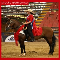 Imagen en miniatura de la galería