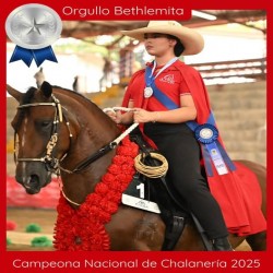 Imagen en miniatura de la galería