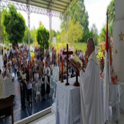 Imagen en miniatura de la galería
