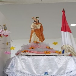 Imagen en miniatura de la galería