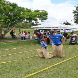 Imagen en miniatura de la galería