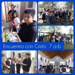 Imagen en miniatura de la galería