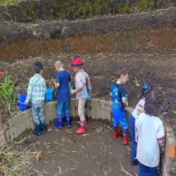 Imagen en miniatura de la galería