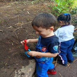 Imagen en miniatura de la galería