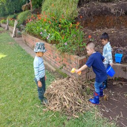 Imagen en miniatura de la galería