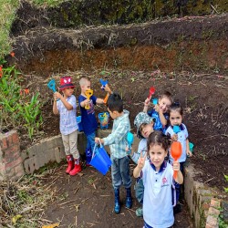 Imagen en miniatura de la galería