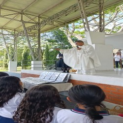 Imagen en miniatura de la galería