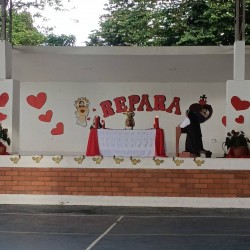 Imagen en miniatura de la galería