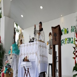 Imagen en miniatura de la galería