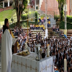 Imagen en miniatura de la galería