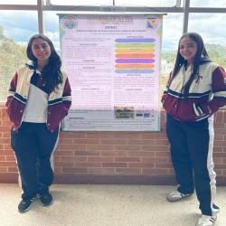 Imagen en miniatura de la galería