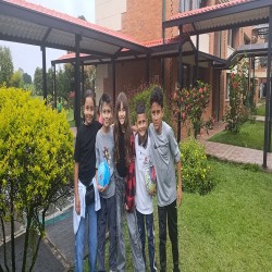 Imagen en miniatura de la galería