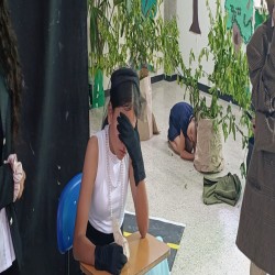 Imagen en miniatura de la galería