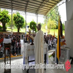 Imagen en miniatura de la galería