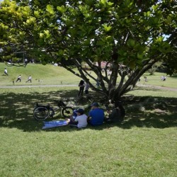 Imagen en miniatura de la galería