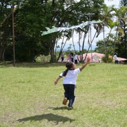 Imagen en miniatura de la galería