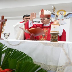 Imagen en miniatura de la galería